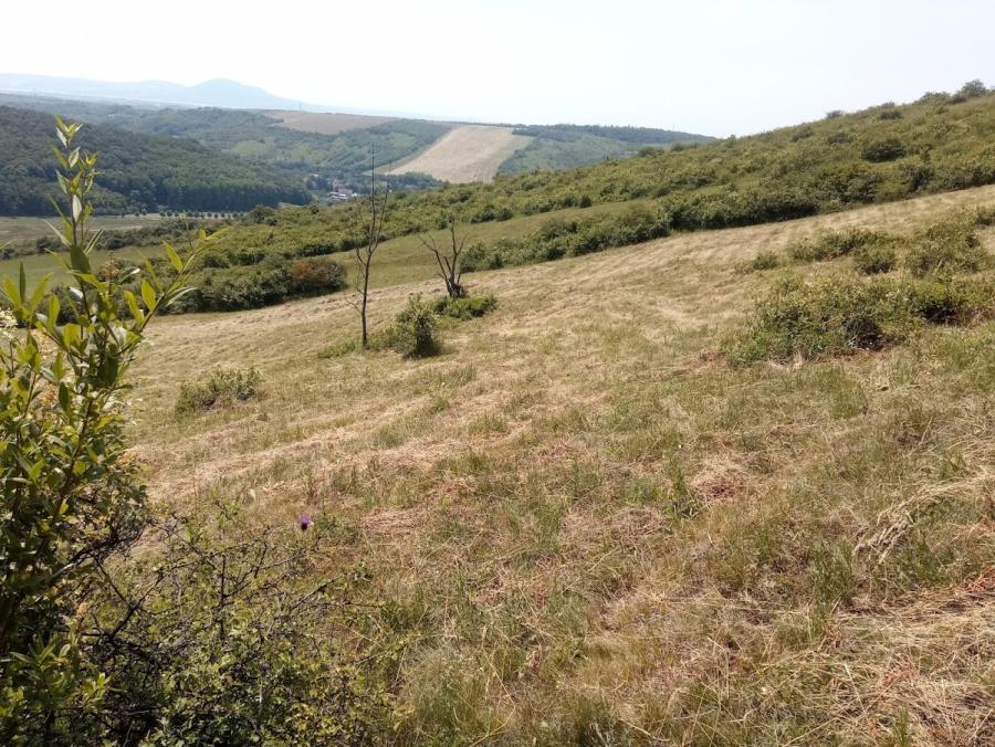 Přední kout