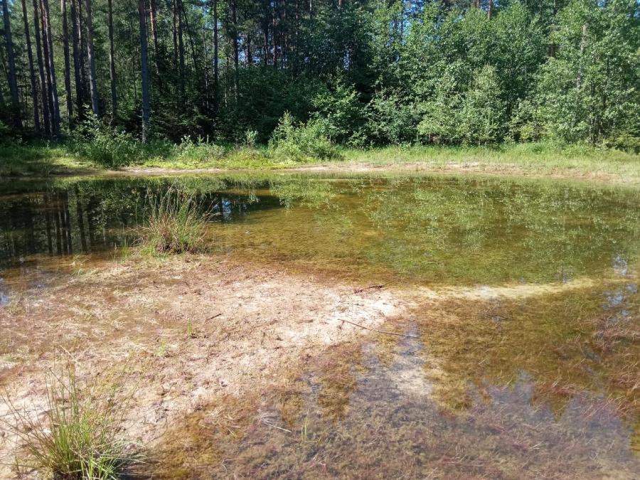 Cepská pískovna a okolí