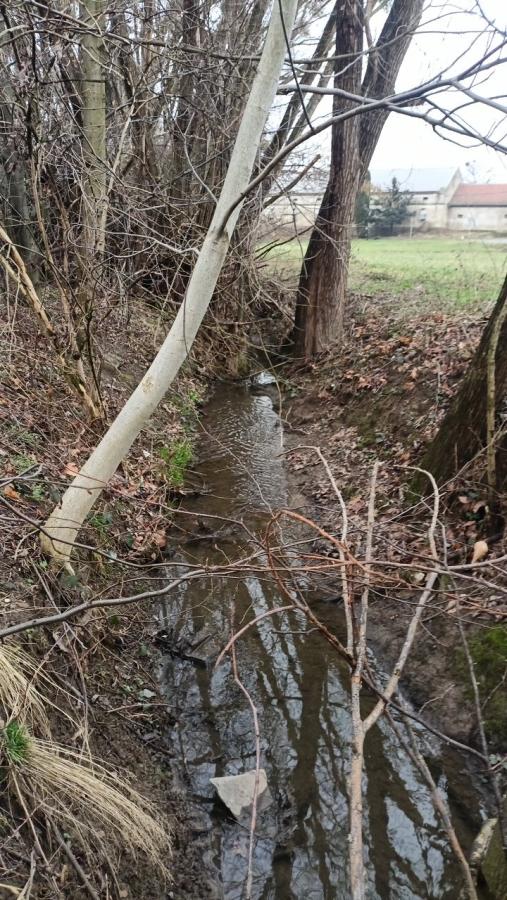 Děhylovský potok - Štěpán