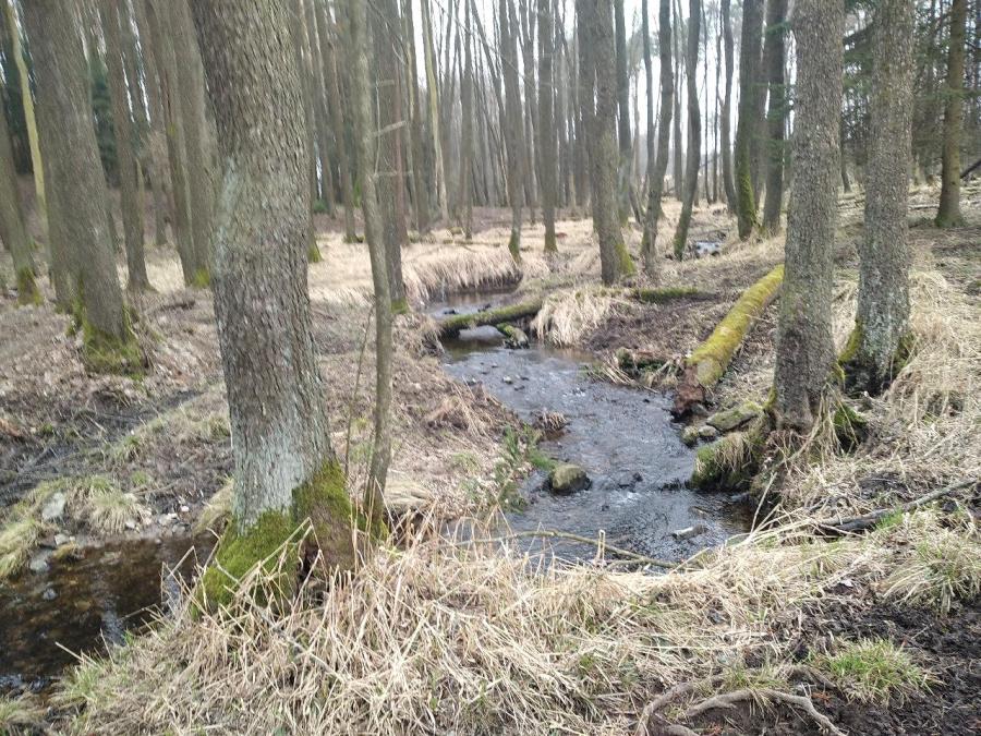 Hroznětínská louka a olšina