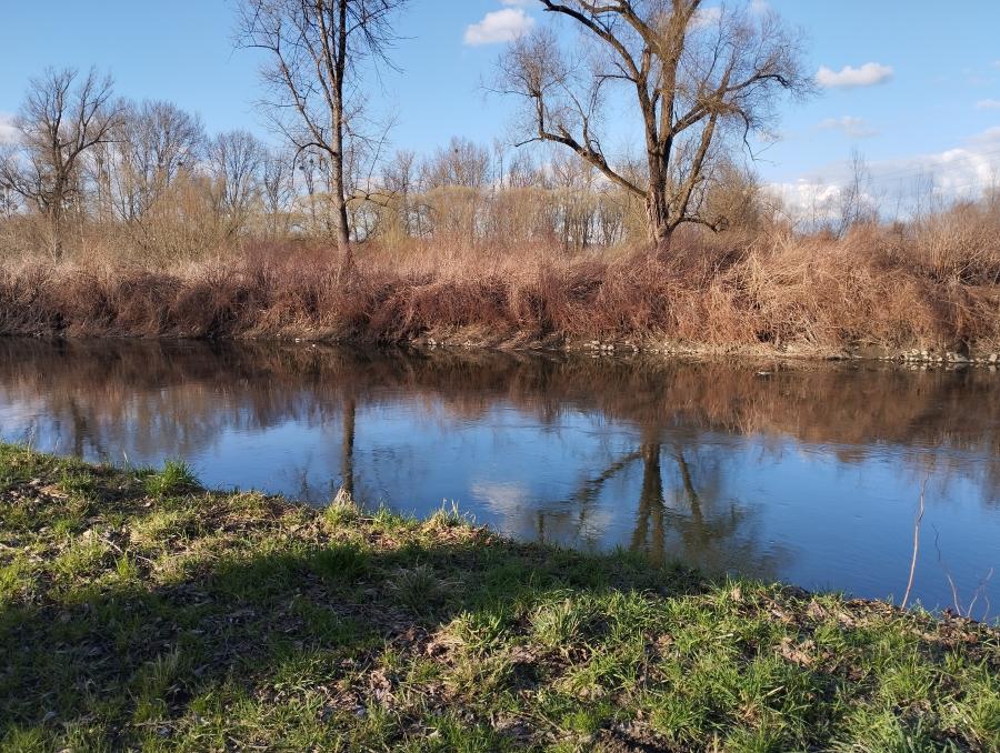 Niva Olše - Věřňovice