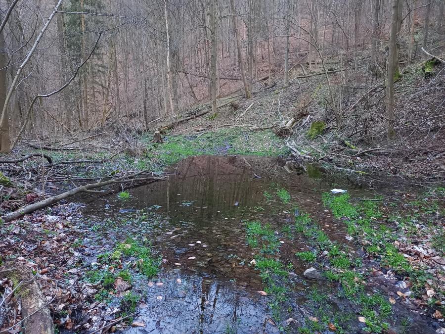 Rychlebské hory - Račí údolí