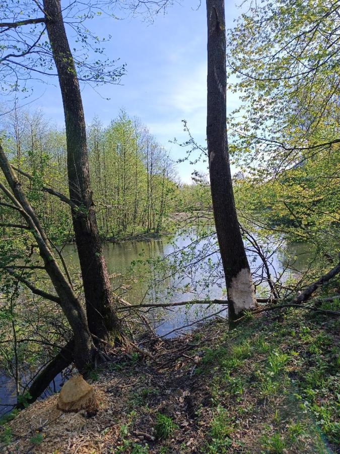 Hustopeče - Štěrkáč