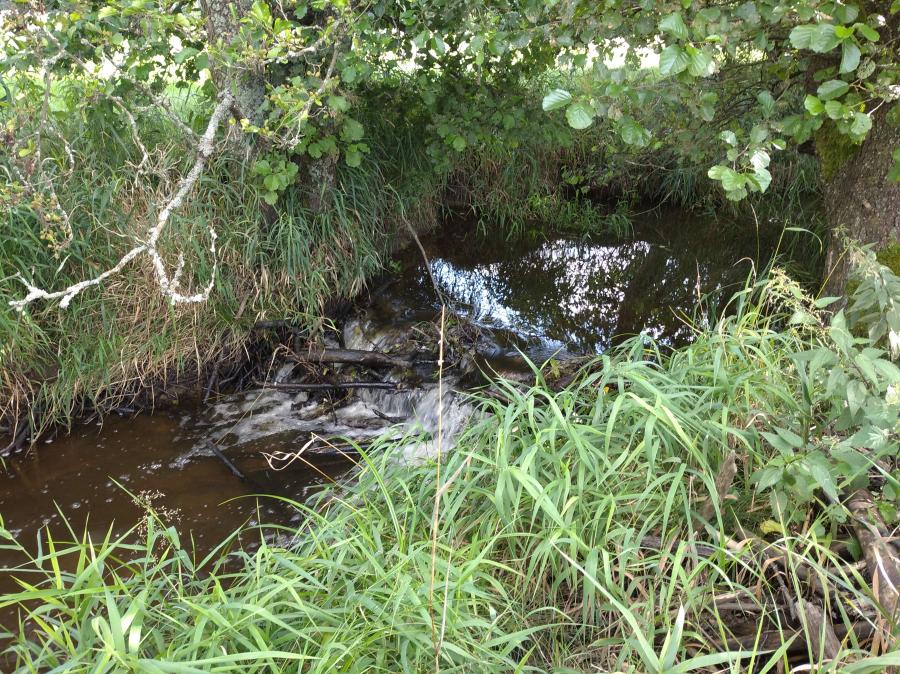 Kateřinský a Nivní potok