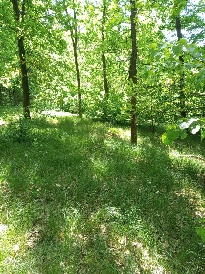 Bzenecká Doubrava - Strážnické Pomoraví