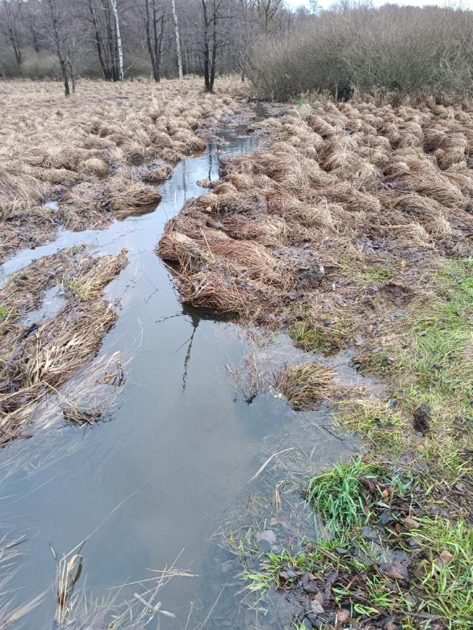 Velký rybník