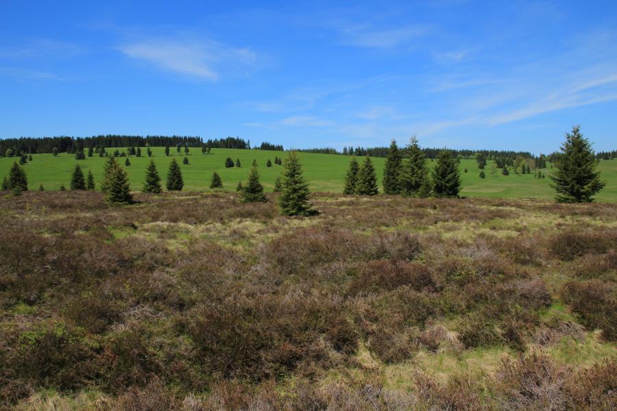 Západní Krušné hory