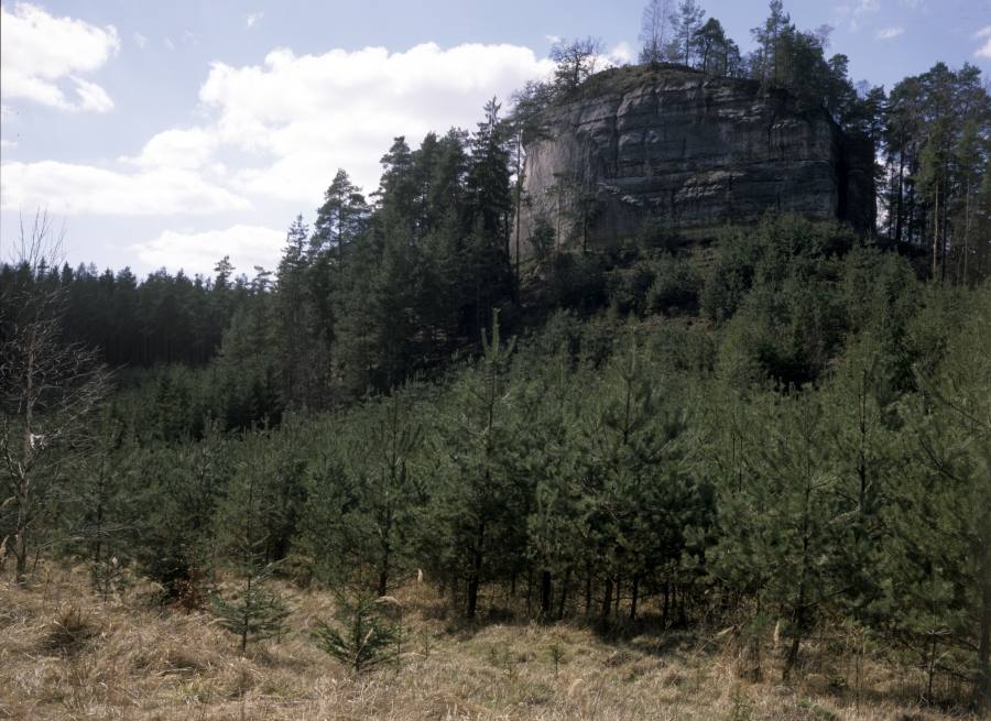 Stohánek