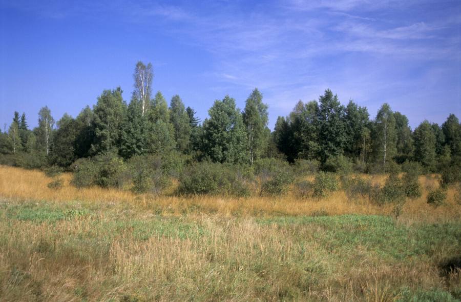 Kozohlůdky