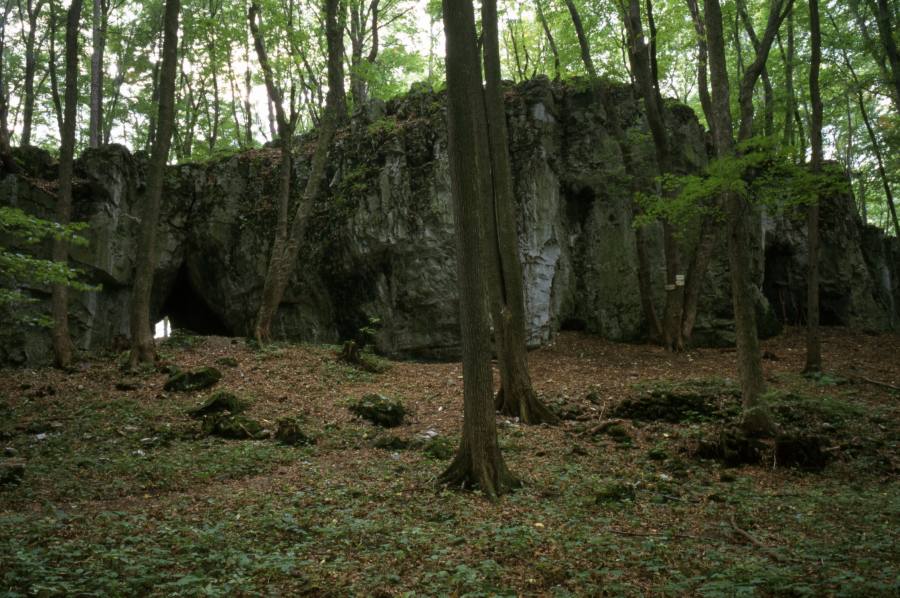 Průchodnice