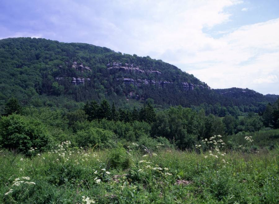 Vlhošť